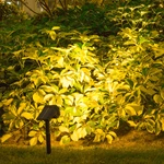 Landscape Pathway Motion Sensor Solar Spotlights